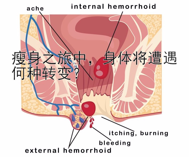 瘦身之旅中，身體將遭遇何種轉(zhuǎn)變？