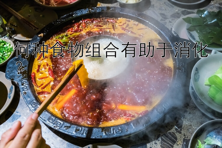 何種食物組合有助于消化？