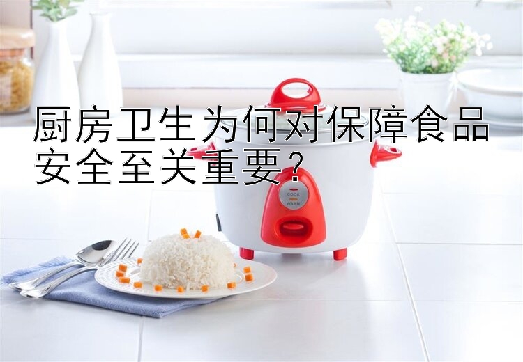 廚房衛(wèi)生為何對保障食品安全至關(guān)重要？