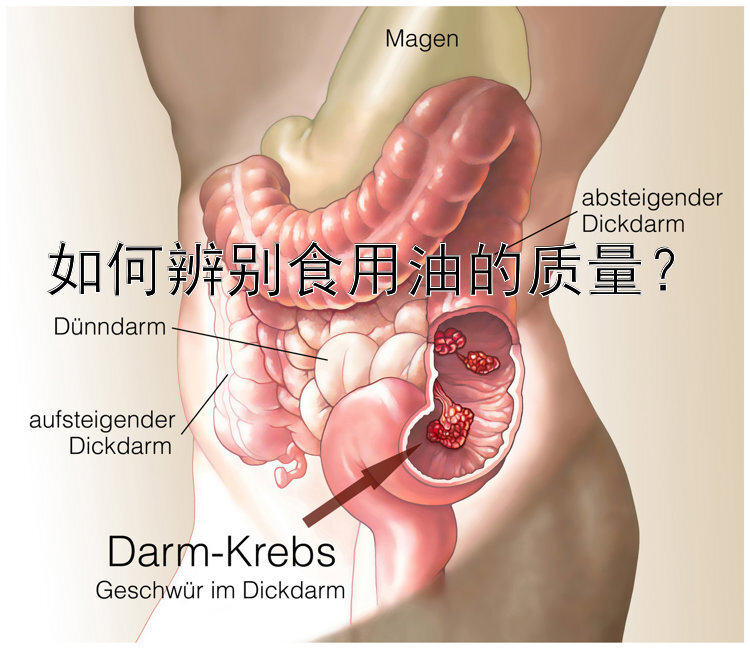 如何辨別食用油的質(zhì)量？