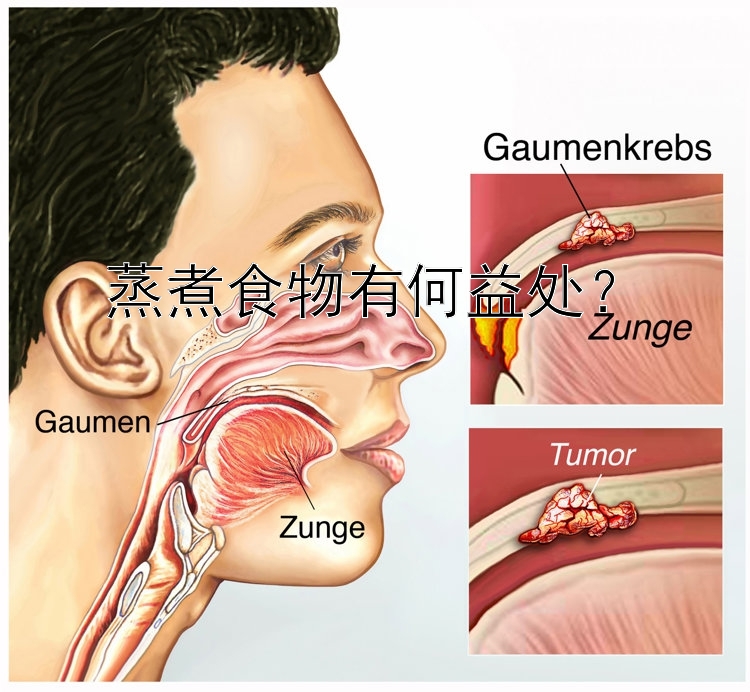 蒸煮食物有何益處？