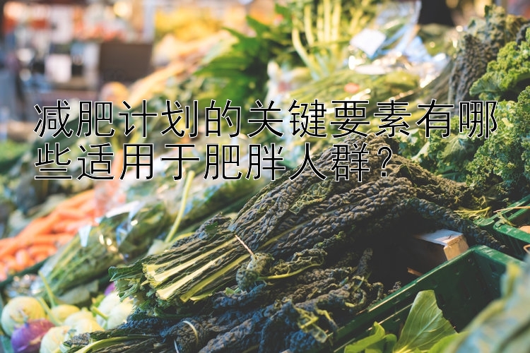 減肥計劃的關(guān)鍵要素有哪些適用于肥胖人群？