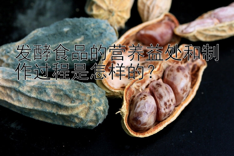 發(fā)酵食品的營(yíng)養(yǎng)益處和制作過程是怎樣的？