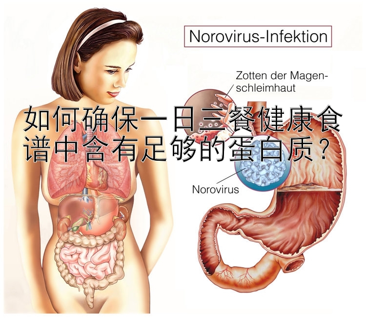 如何確保一日三餐健康食譜中含有足夠的蛋白質(zhì)？