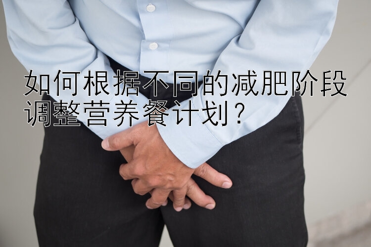 如何根據(jù)不同的減肥階段調(diào)整營養(yǎng)餐計劃？