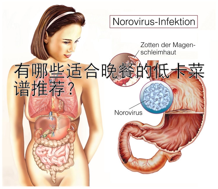 有哪些適合晚餐的低卡菜譜推薦？