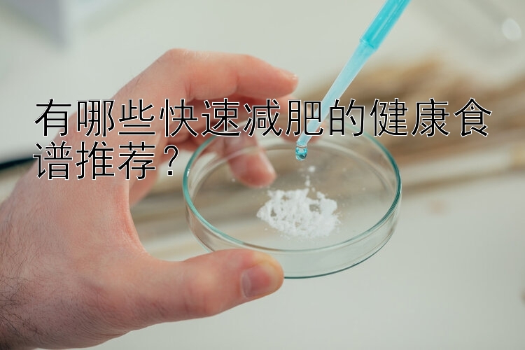 有哪些快速減肥的健康食譜推薦？