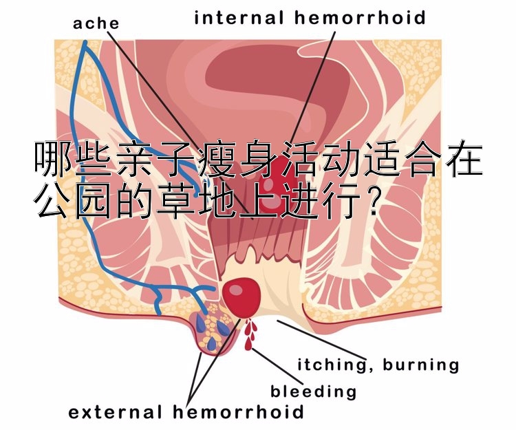 哪些親子瘦身活動(dòng)適合在公園的草地上進(jìn)行？