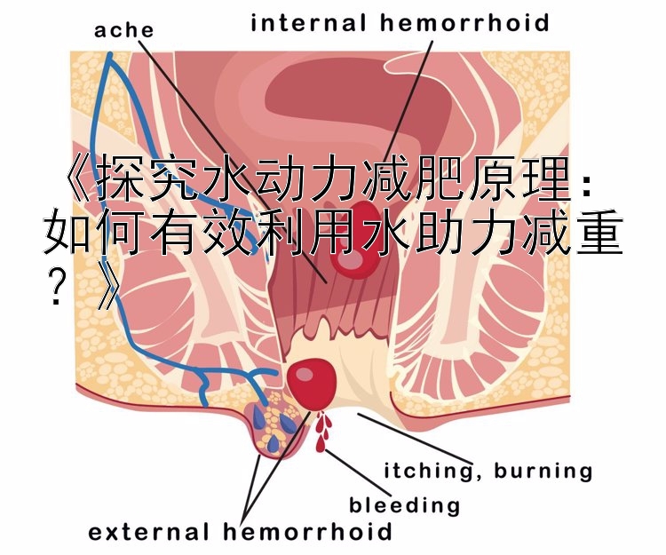 《探究水動(dòng)力減肥原理：如何有效利用水助力減重？》