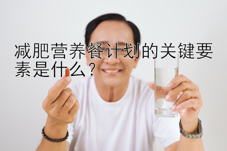 減肥營養(yǎng)餐計劃的關鍵要素是什么？