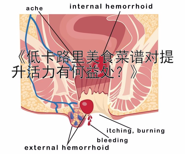 《低卡路里美食菜譜對提升活力有何益處？》