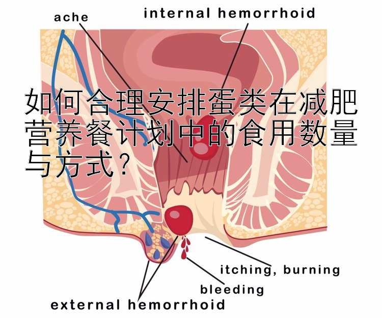 如何合理安排蛋類在減肥營養(yǎng)餐計(jì)劃中的食用數(shù)量與方式？